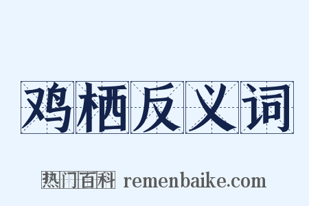 鸡栖反义词是什么意思的图片